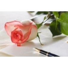 Author of the Month at Queer Magazine Online